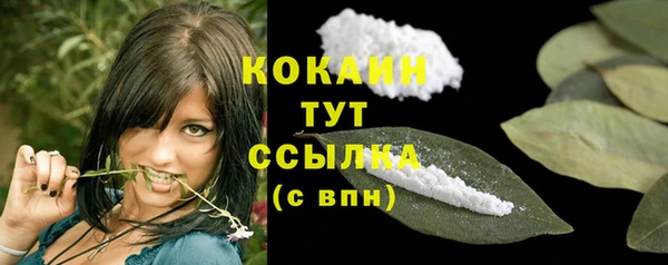крисы Аркадак