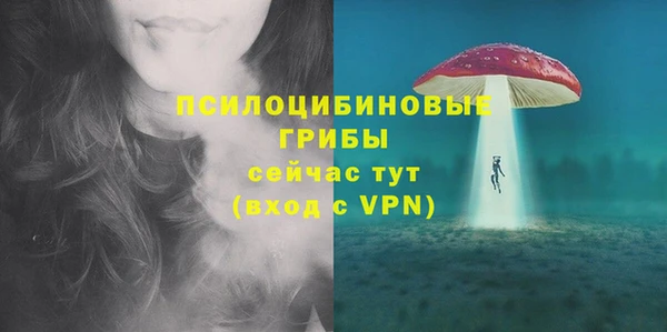ПСИЛОЦИБИНОВЫЕ ГРИБЫ Армянск