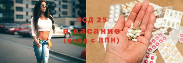 крисы Аркадак