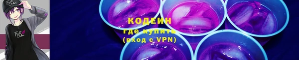 эйфоретик Арсеньев