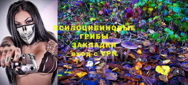 крисы Аркадак