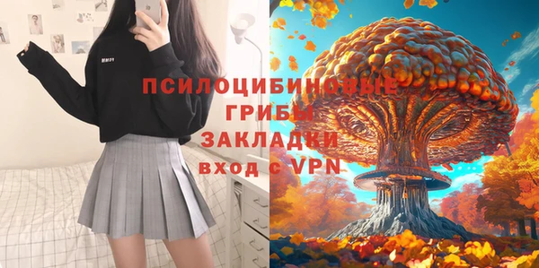 ПСИЛОЦИБИНОВЫЕ ГРИБЫ Армянск