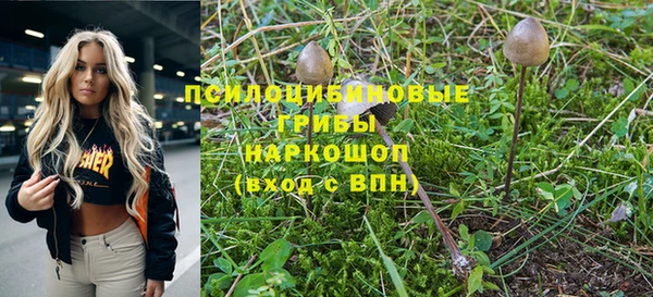 крисы Аркадак