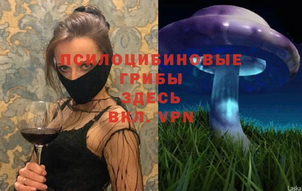 ПСИЛОЦИБИНОВЫЕ ГРИБЫ Армянск