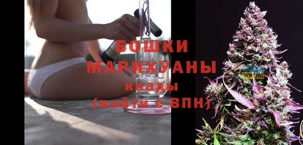 крисы Аркадак