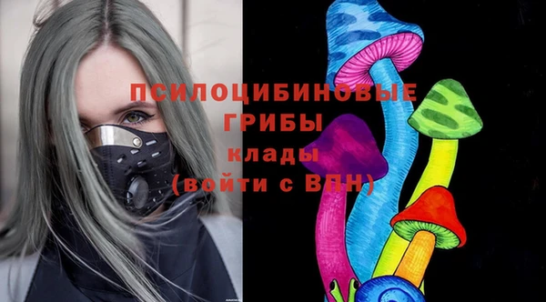 ПСИЛОЦИБИНОВЫЕ ГРИБЫ Армянск