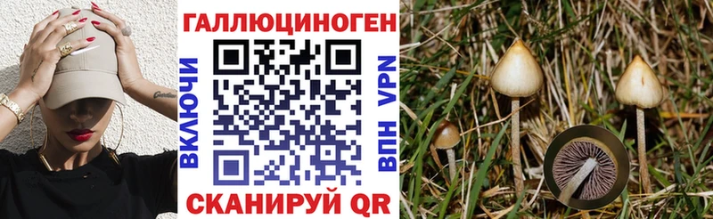 Галлюциногенные грибы мухоморы  цена наркотик  Калязин 